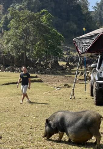Reiziger bij een kamp met daktent ontmoet een lokaal varken tijdens het wildkamperen in Vietnam